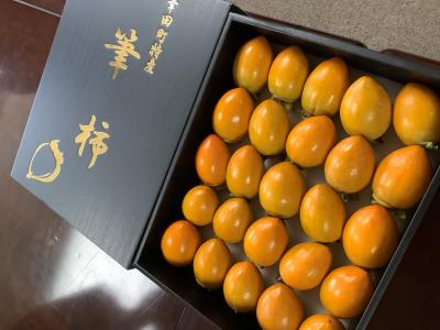 町長写真