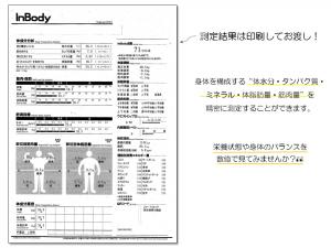 測定結果用紙