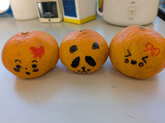 みかんアート