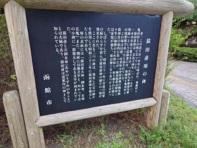 ちょうちょうしゃしｎ