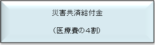 災害共済給付金の概要の画像2