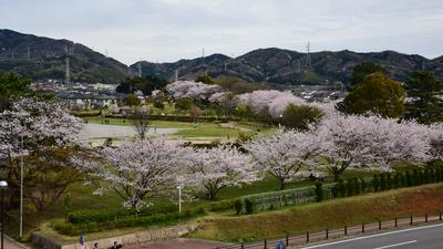 幸田中央公園（ツツジ会館）の画像
