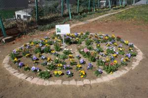 素敵な花壇になりました。