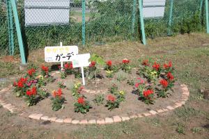 クスノキ花壇