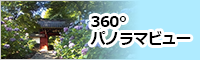 360度パノラマビュー